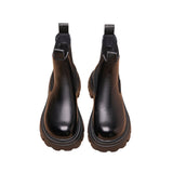 Lyra | +8CM di Aumento